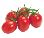 Eiertomaten 1000 g